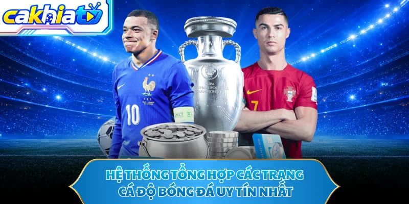 Hệ thống tổng hợp các trang cá độ bóng đá uy tín nhất